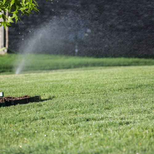 A sprinkler system can provide your yard with the 