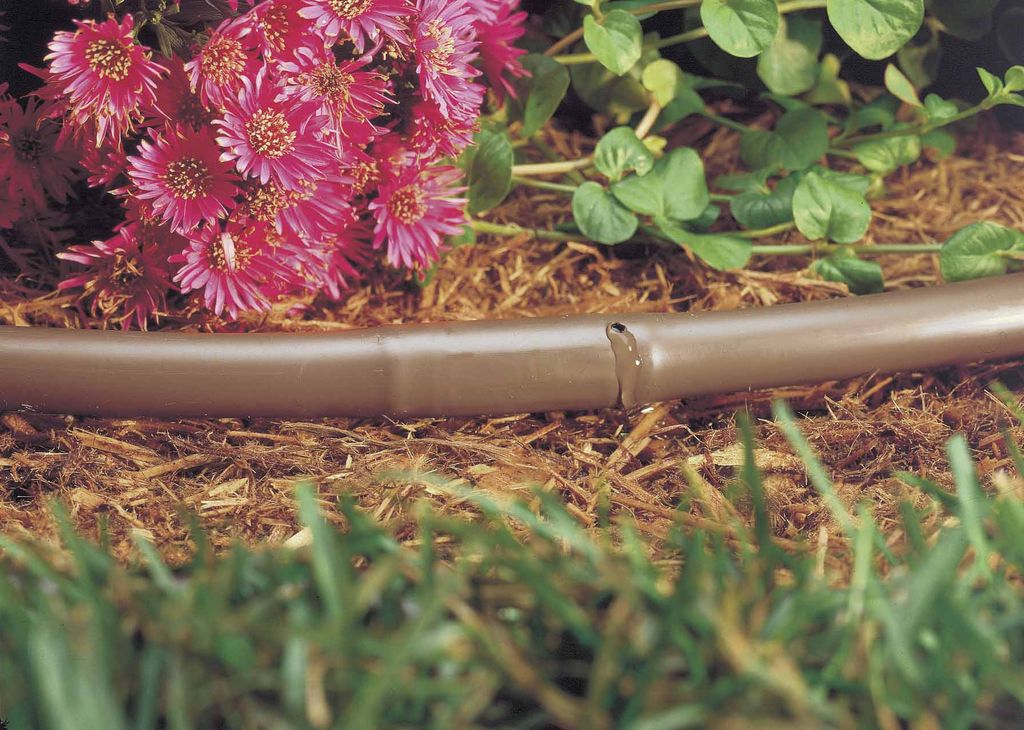 A drip line that makes flowers shine!