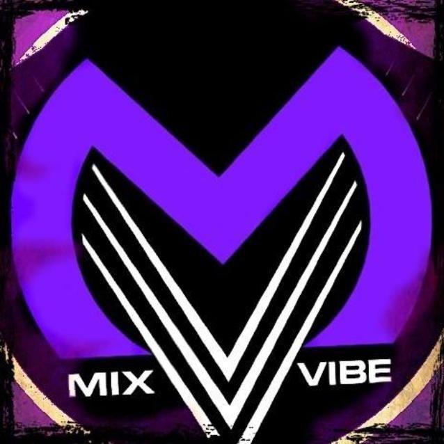 Mix Vibe Band and Deejays