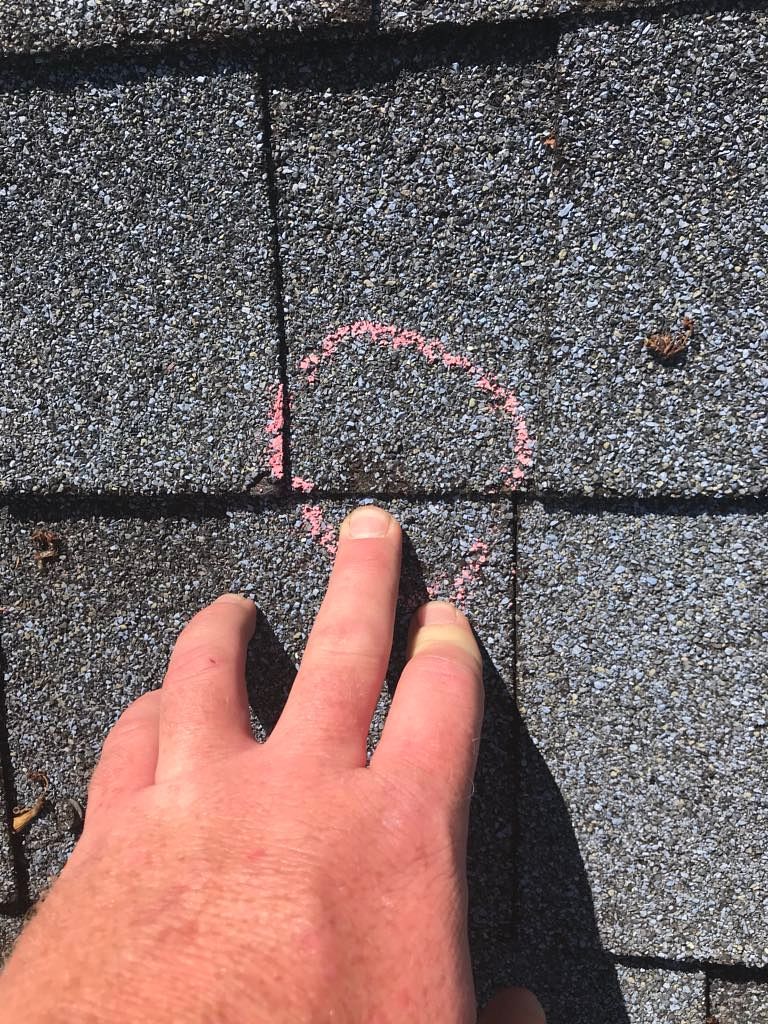Hail Damage 