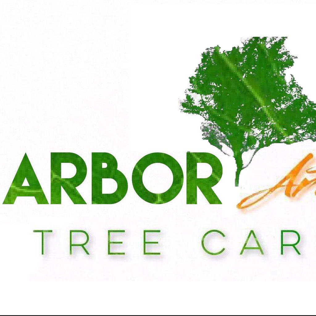 Arbor arts tree care