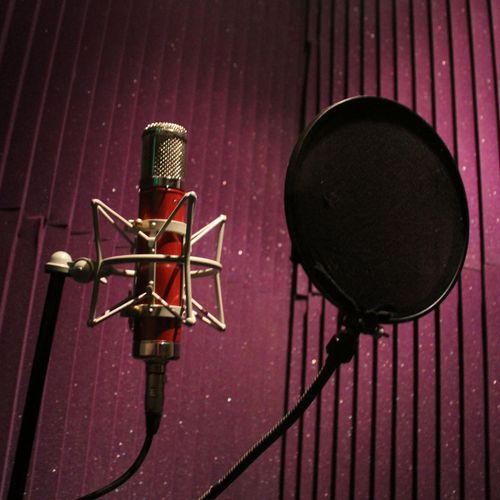 Vocal booth w/ CV-12 Tube Condenser Mic