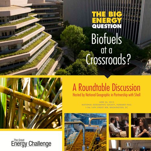 A white paper for National Geographic on biofuels