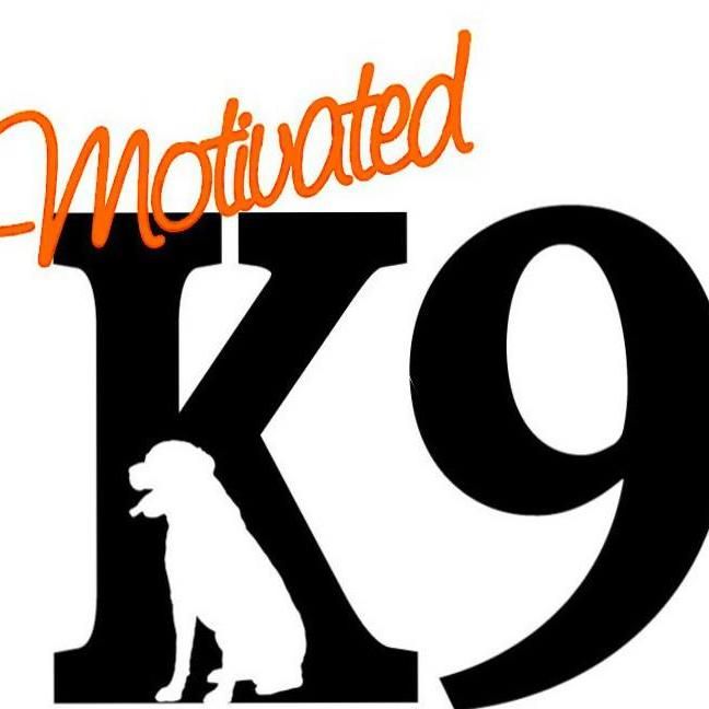 Motivated K9 Dog Training