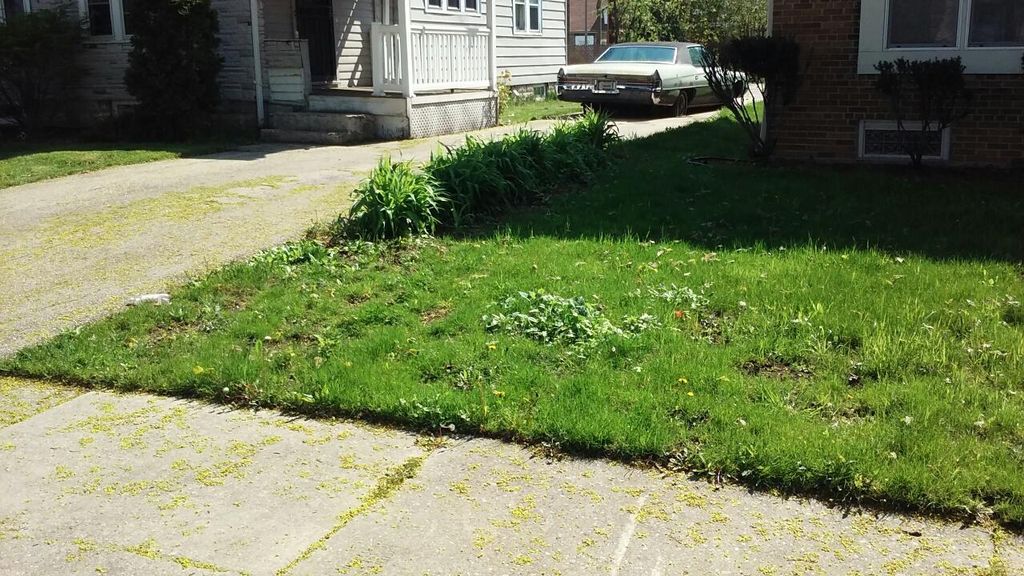 Front Lawn (Before)