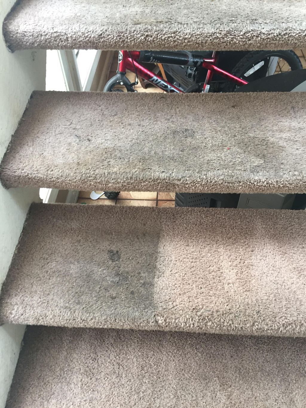 Carpet cleaning Frasier Tennessee