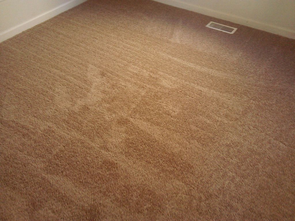 Carpet