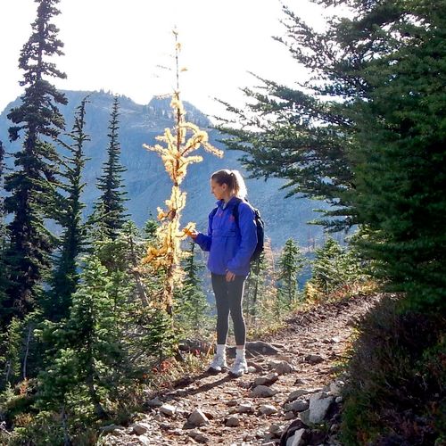 Hiking in the North Cascades
