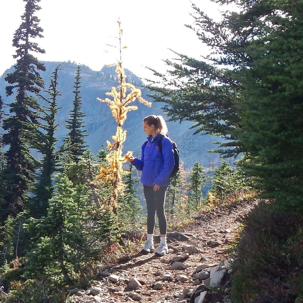 Hiking in the North Cascades