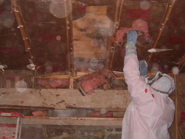 Wet, moldy insulation in a wet crawlspace being re