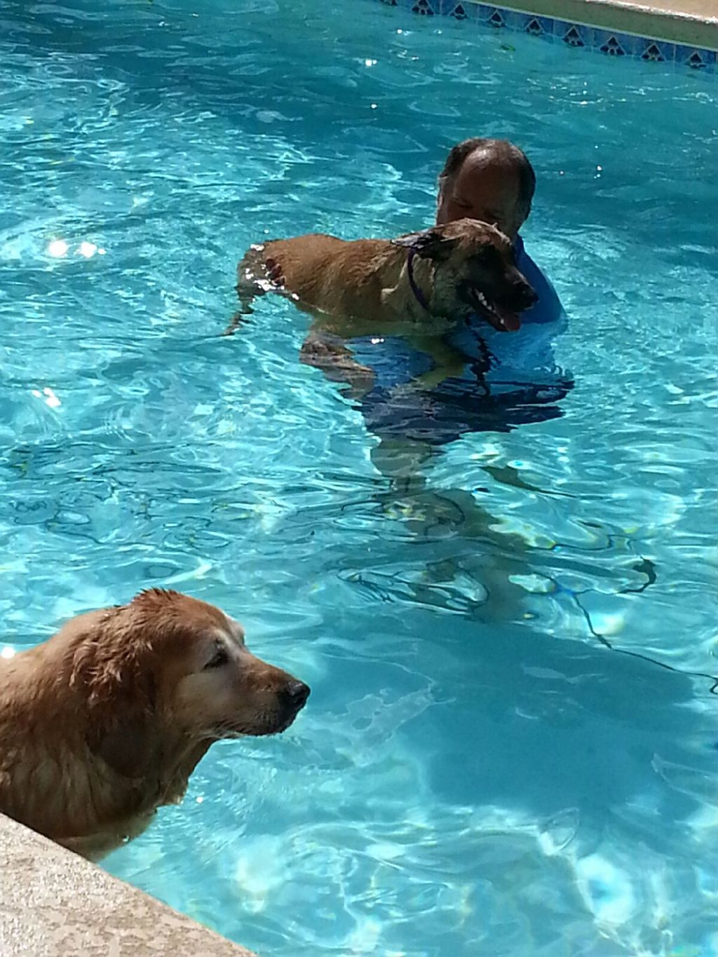 Sasha learning to swim