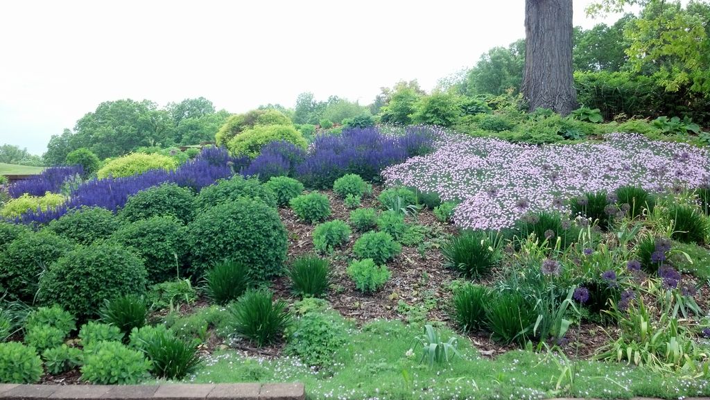 Have a Hillside that needs some color,  call Dan t