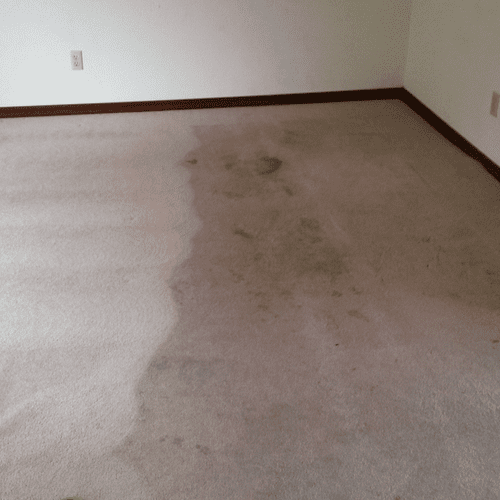 Restoration Carpet Cleaning