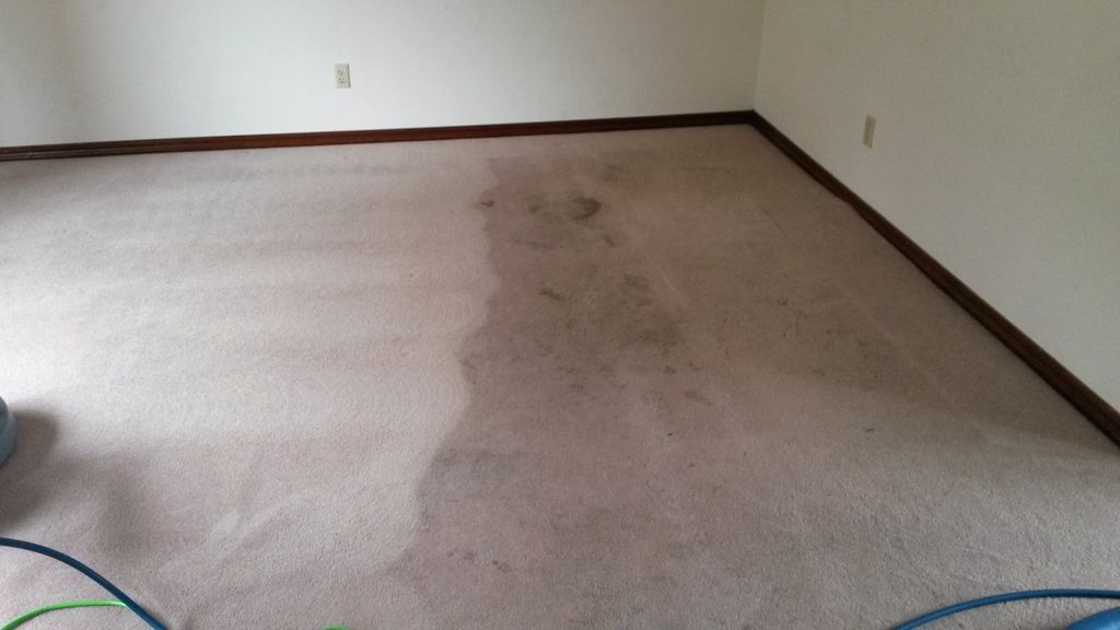 Restoration Carpet Cleaning
