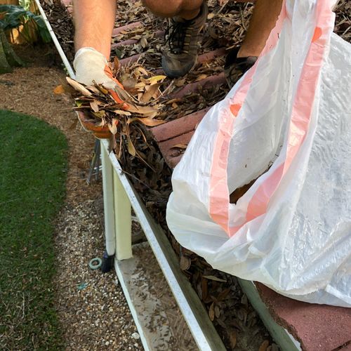 Hand Cleaning Gutters and Bagging the Trash