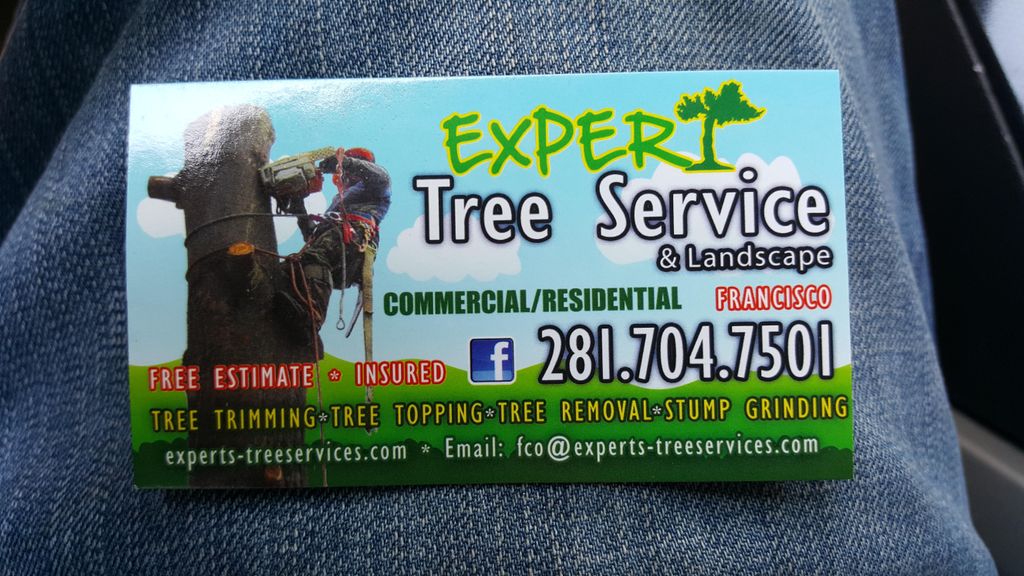 expert tree services  & landscape
