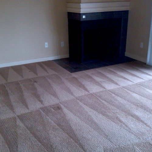 Sign of excellent carpet cleaning!