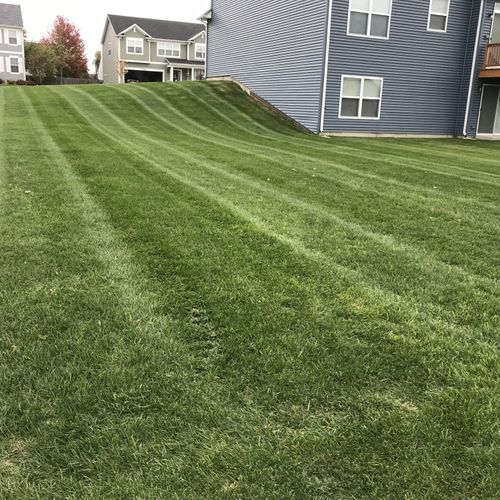 Residential mowing