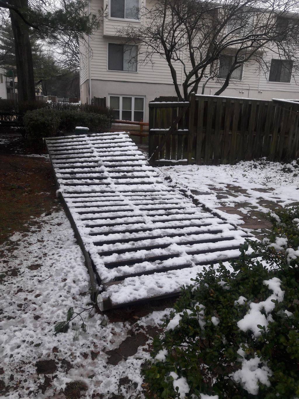 Nor' Easter Quinn ......Knocked over fence.