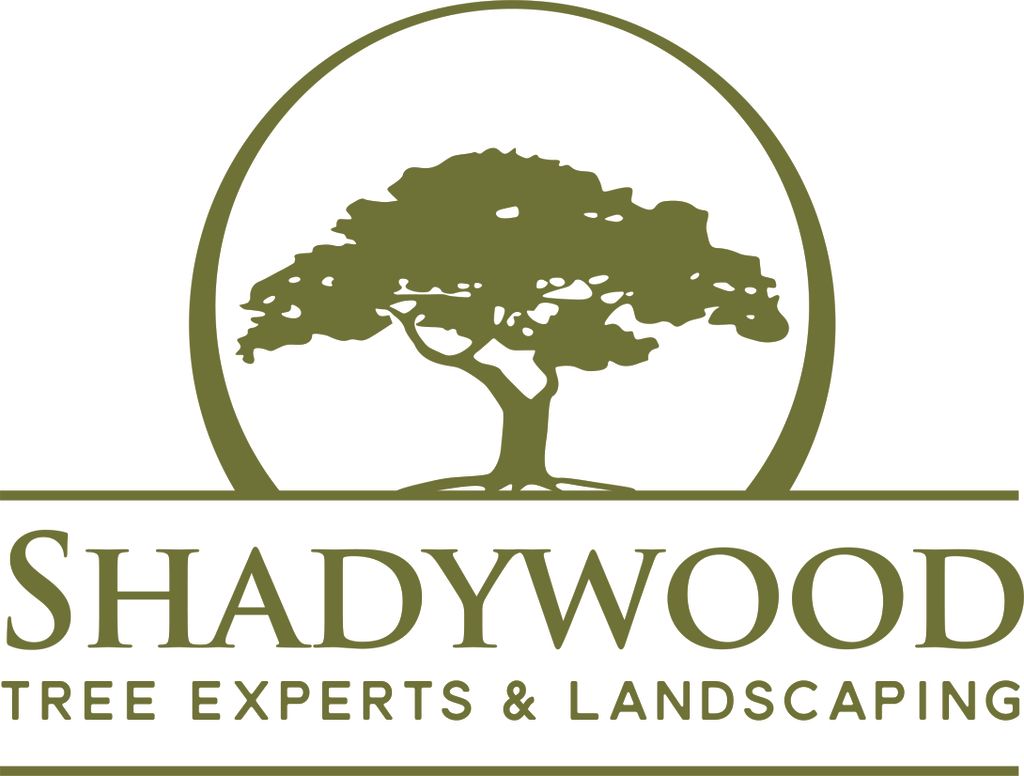 Shadywood Tree Experts and Landscaping