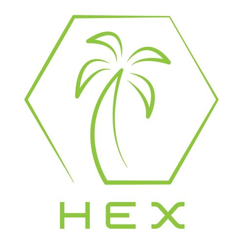 Logo Design for Hex Beachwear