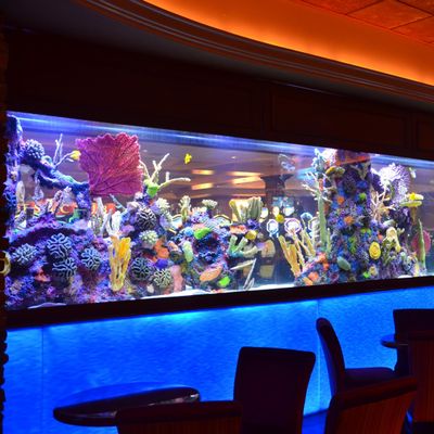 The 10 Best Aquarium Professionals in San Diego, CA 2020 - 400square Legacy