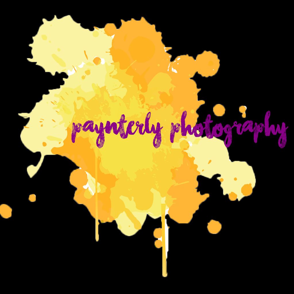 Paynterly Photography