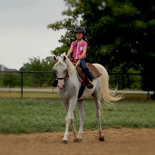 A 7 year old lesson student trotting during her ri
