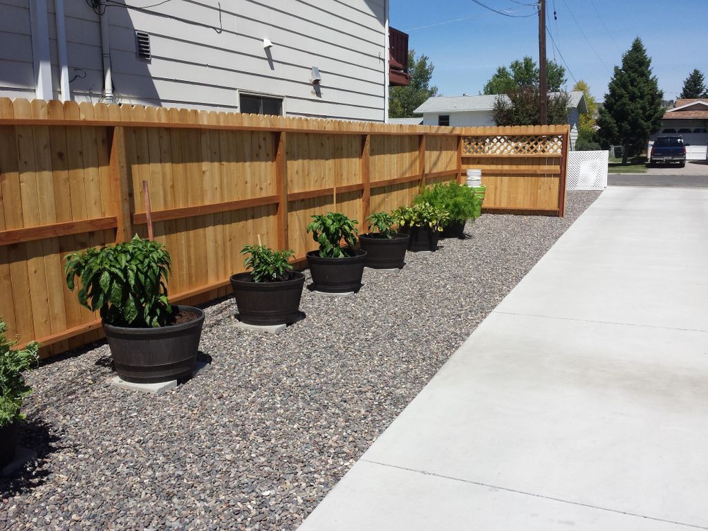 Cedar fence and landscaping.