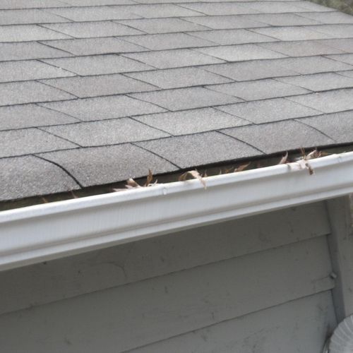 Clogged gutters.  