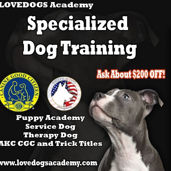 LOVEDOGS Academy - Dog Training in Davenport Fl