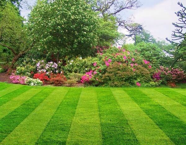 White's Lawn Services & Landscaping