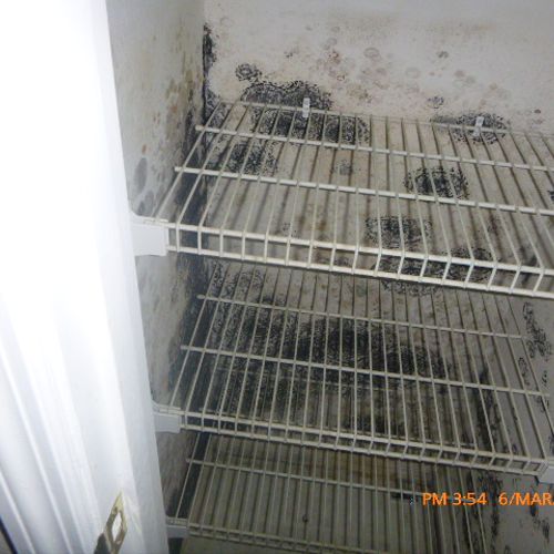 Mold building up in the closet after a water leak
