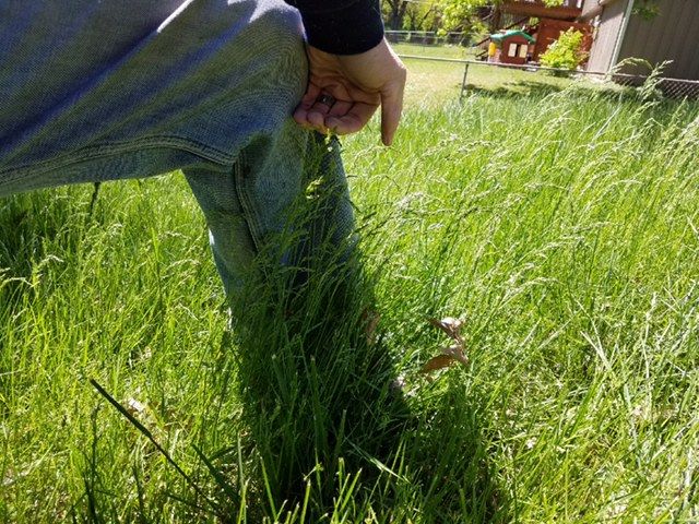 Before mow when we arrived