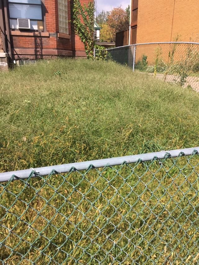 Jones landscaping and handyman services