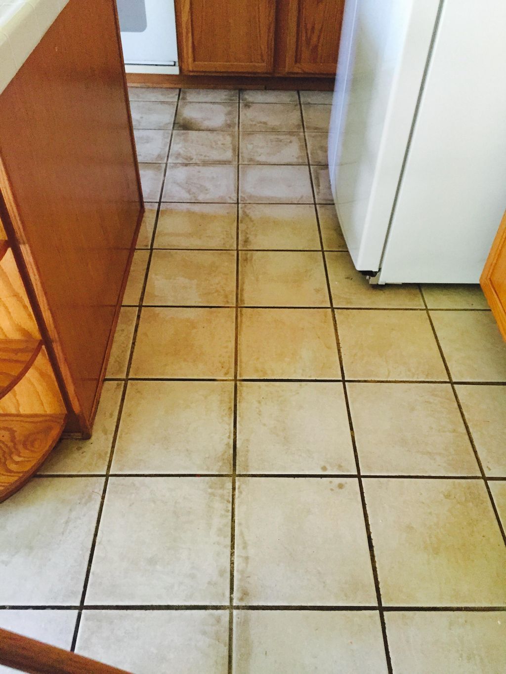 Tile and Grout Before