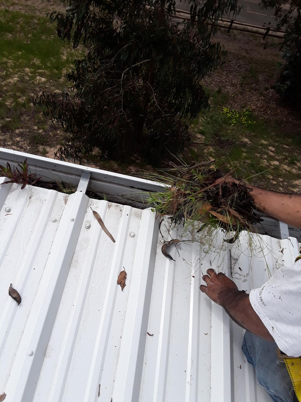 rain gutters on a commercial building