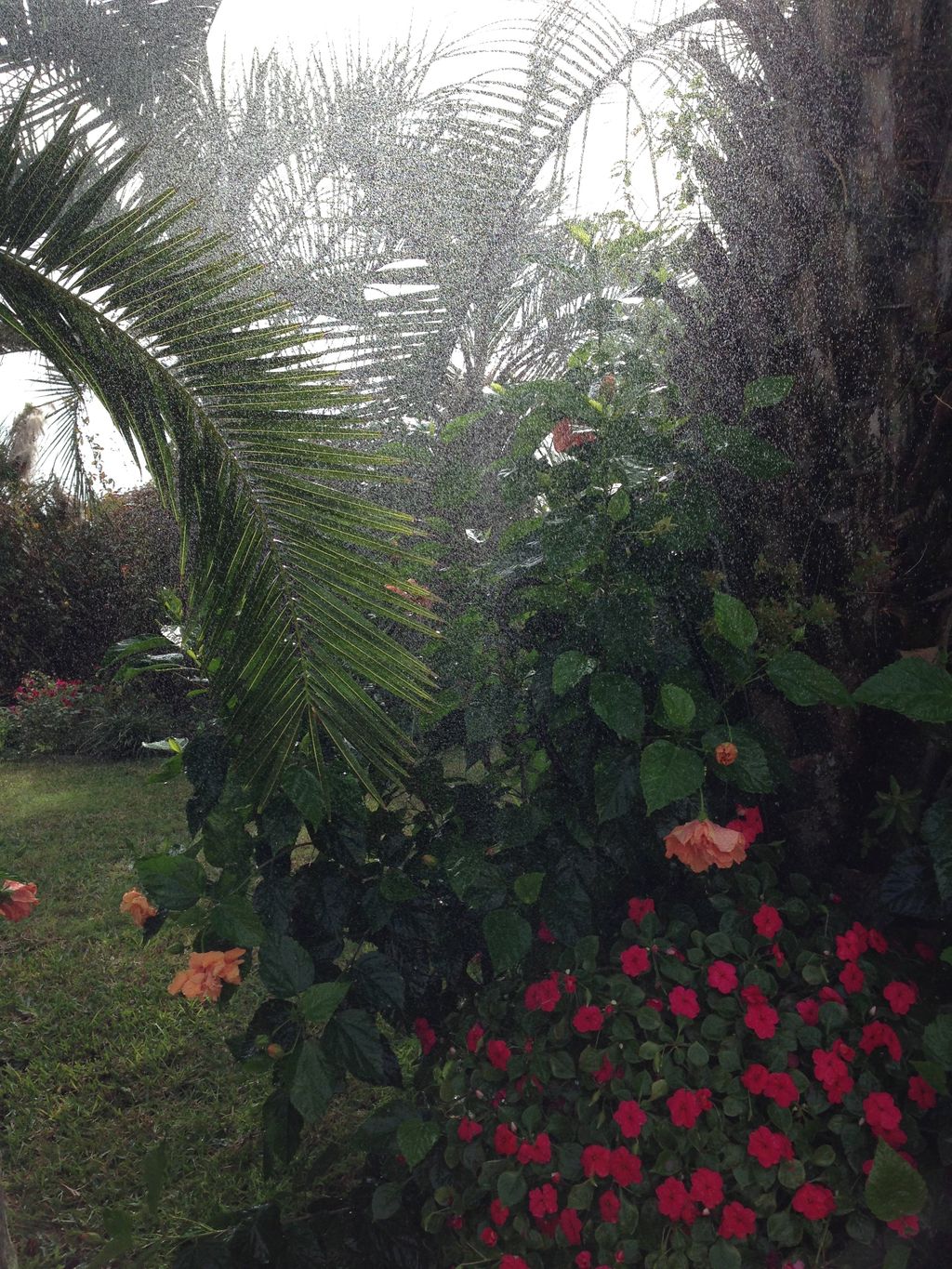 Irrigation services, installs, diagnostics, repair