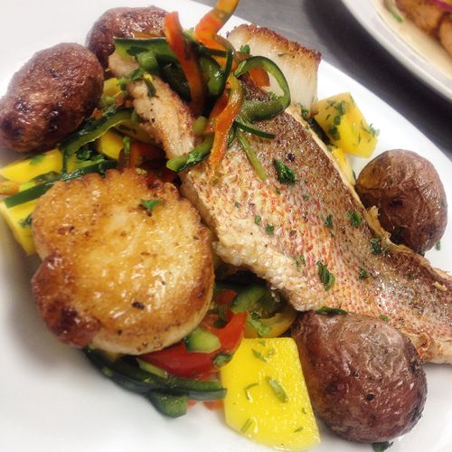 Pan seared Red Snapper and Scallops over mango sal