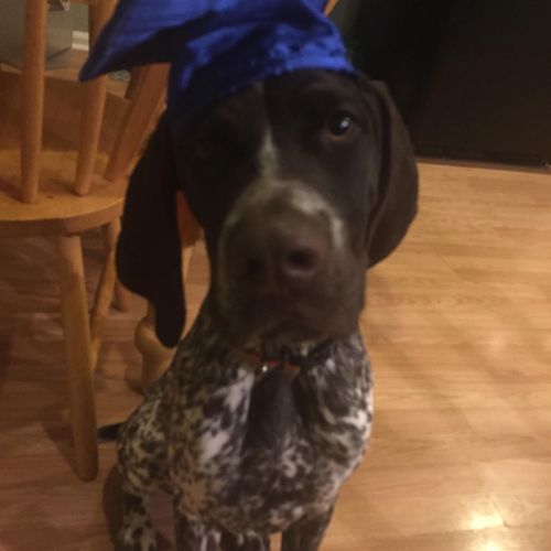 Cooper Graduated the Puppy Program with Honors!