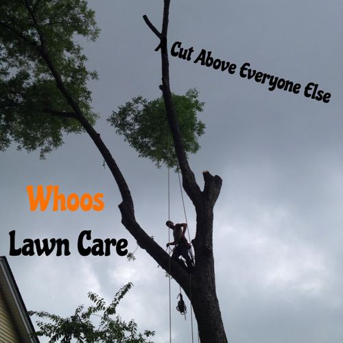 Whoos Lawn Care "A Cut Above the Rest" Call Today 