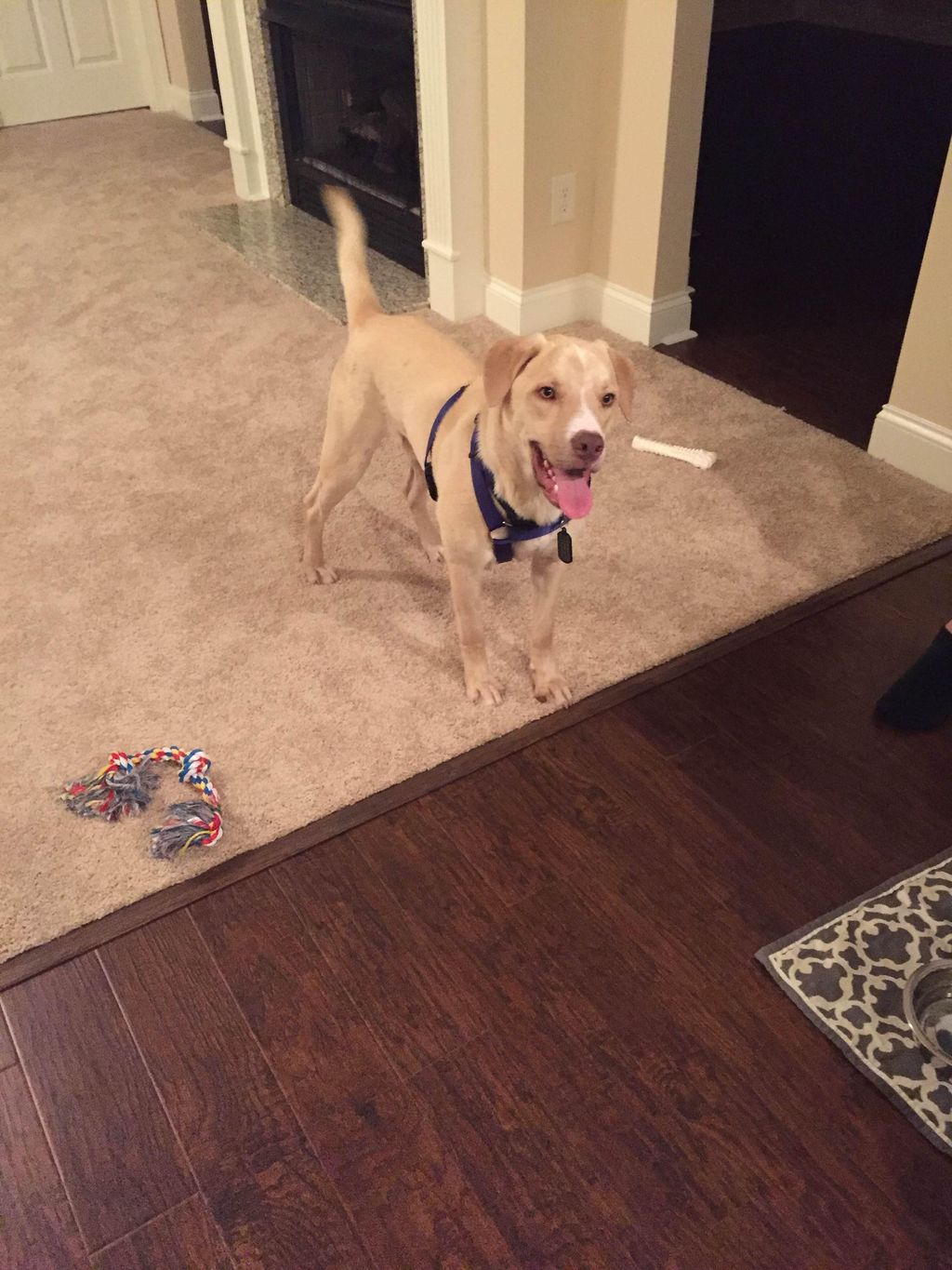 Austin! Smiles all the time!!