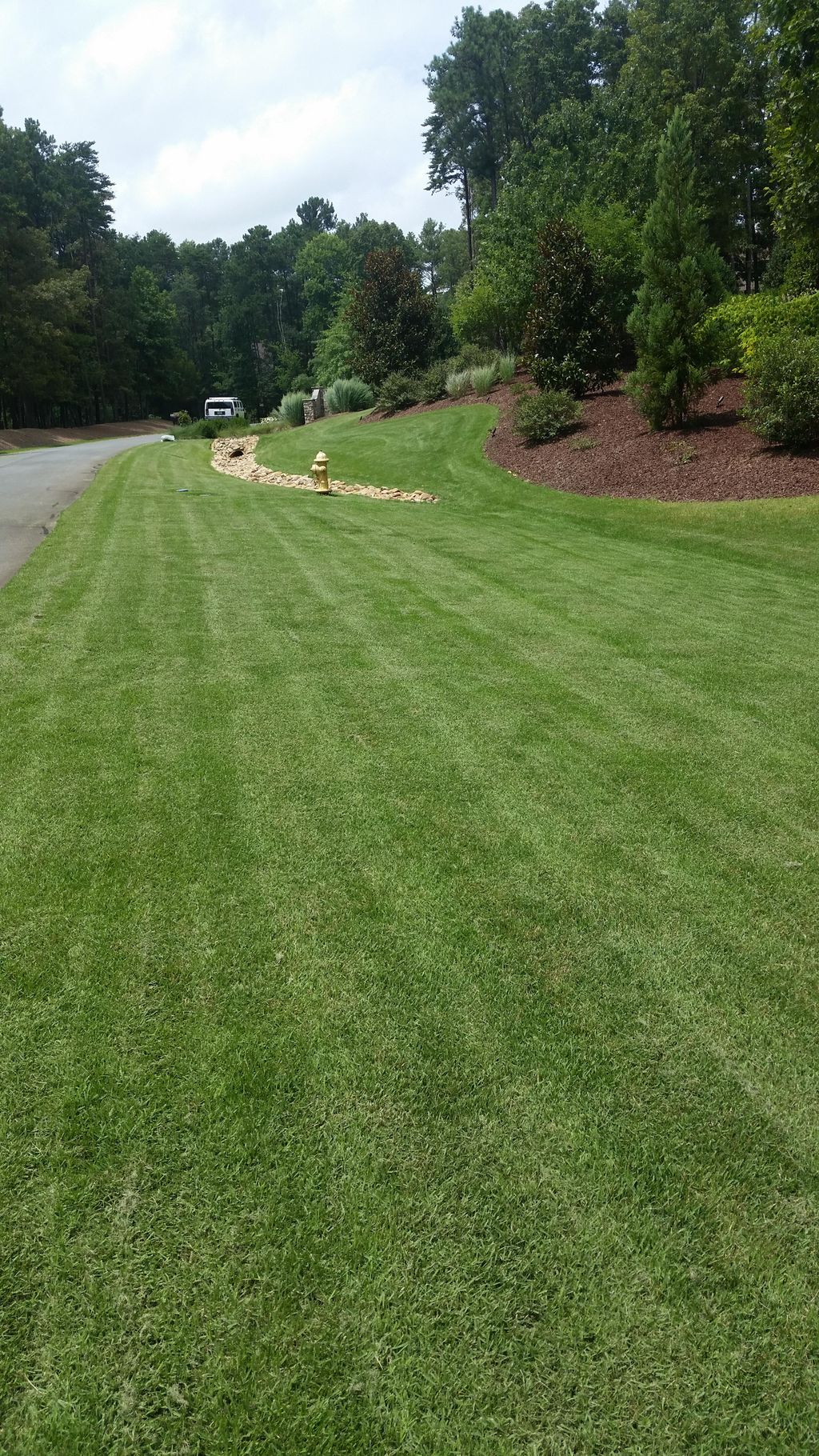 Mowing and lawn treatments 