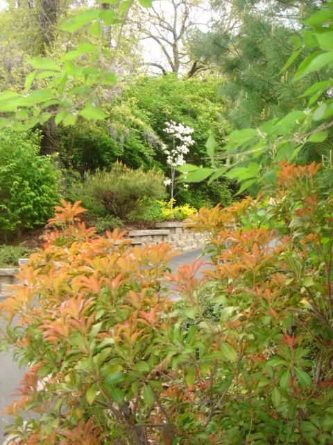 Hanley Rd entrance to Hampton Park estate property