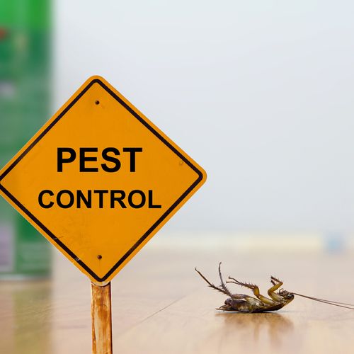 Idaho Falls Pest Control