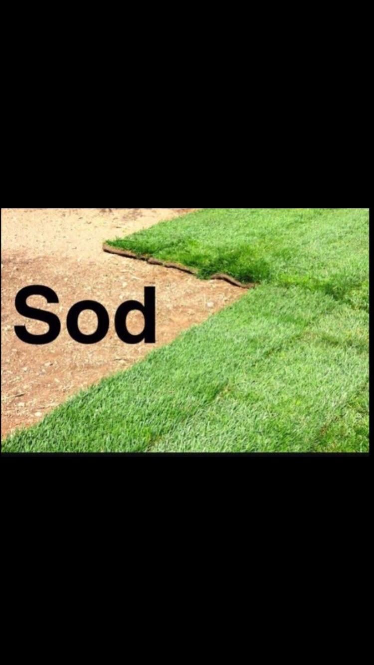 Sod Works and Tree Works