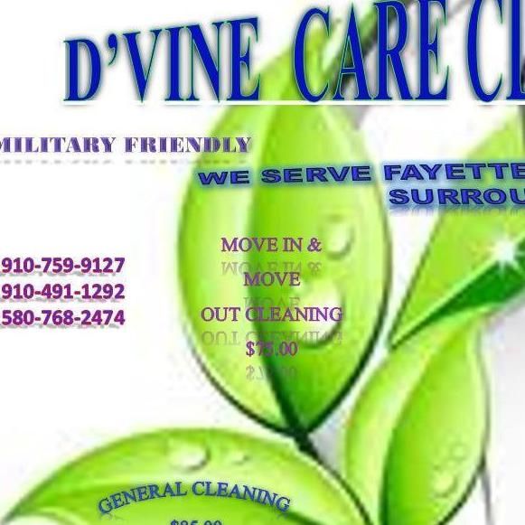 D'Vine Cleaning Services
