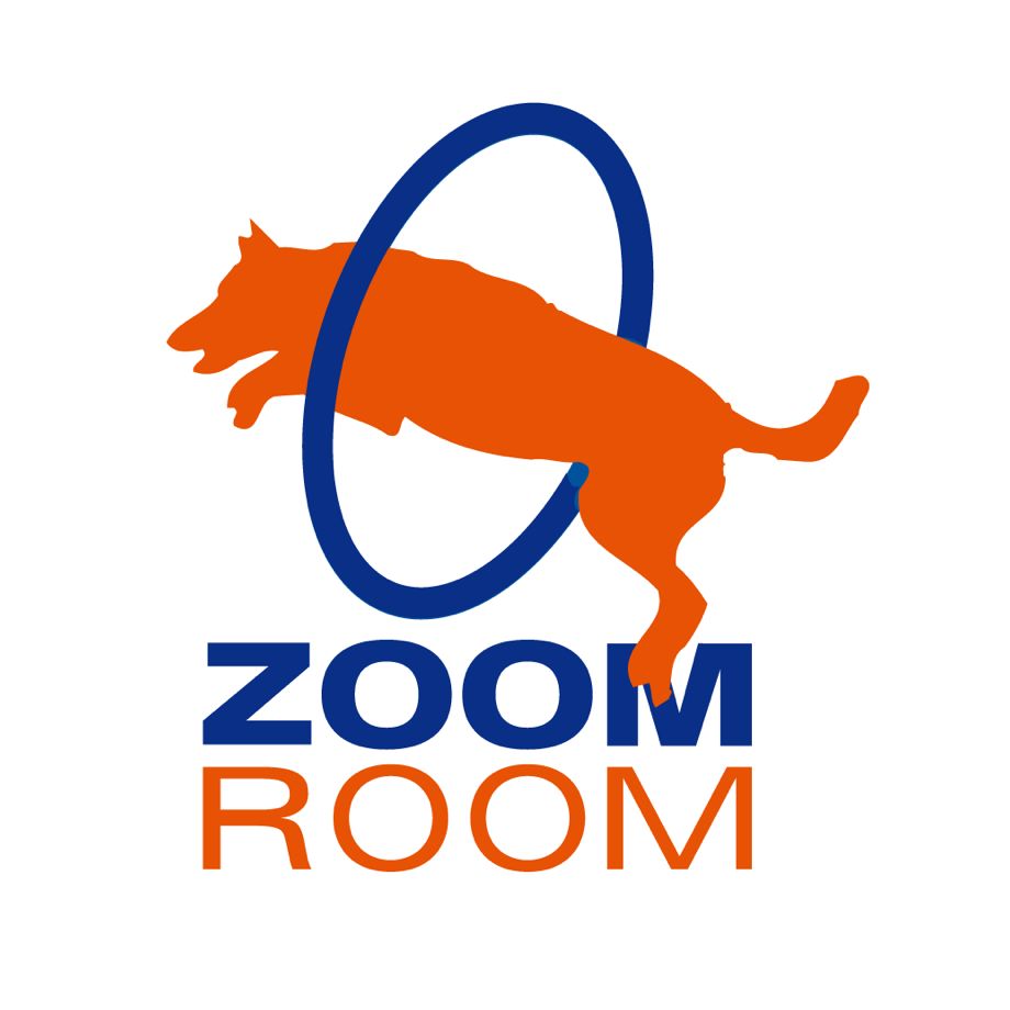 Zoom Room Virginia Beach