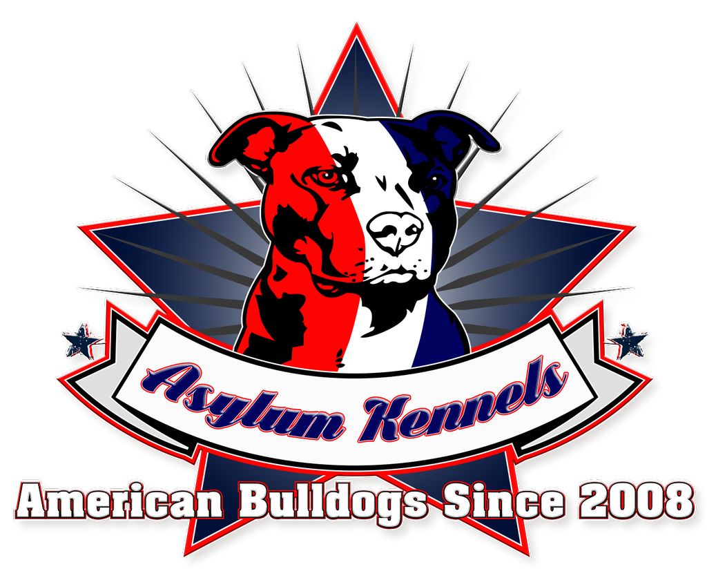 Logo for Puta Gorda Fl American Bulldog Breeder