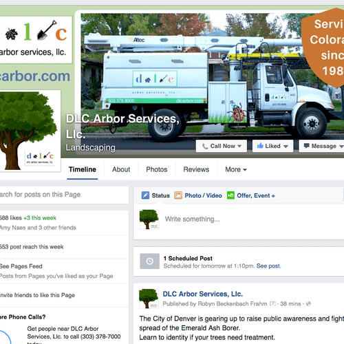 Professional Facebook page for tree service compan